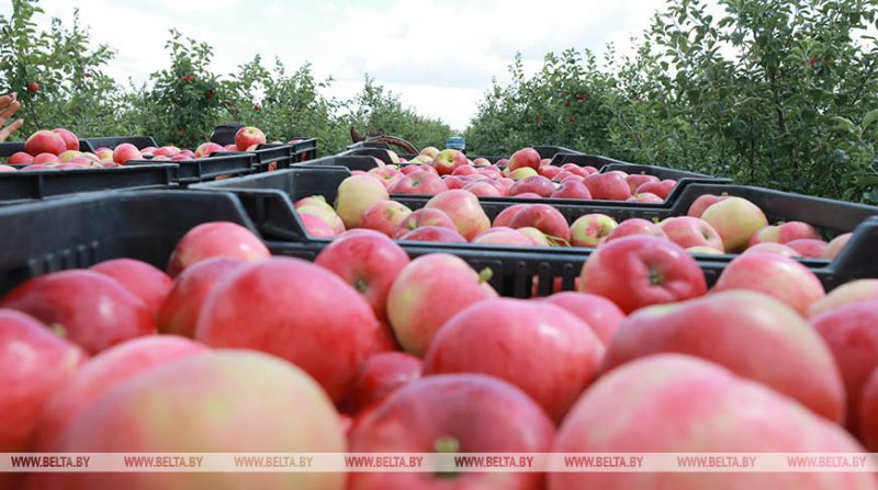 Фото носит иллюстративный характер.
