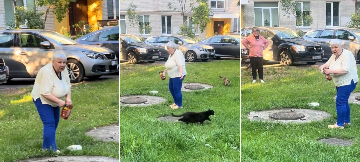 Бабушки, которые травят бездомных котов в Бресте. Скриншот видео в TikTok