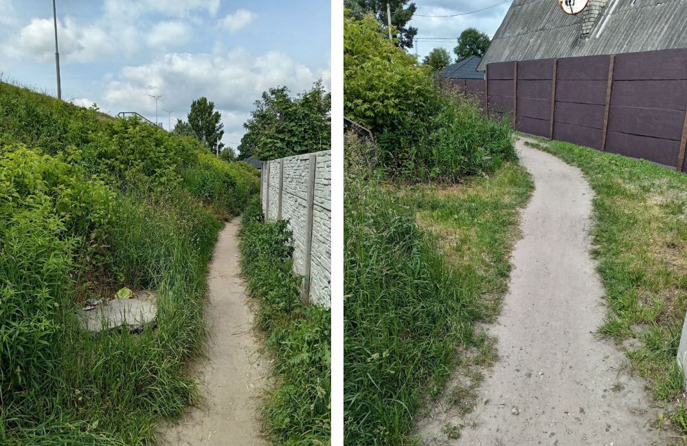 Народная тропа под Березовским мостом в Бресте. Фото: Телеграм.