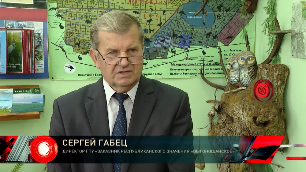 Сергей Габец, директор заказника «Выгонощанское». Скриншот видео ОНТ