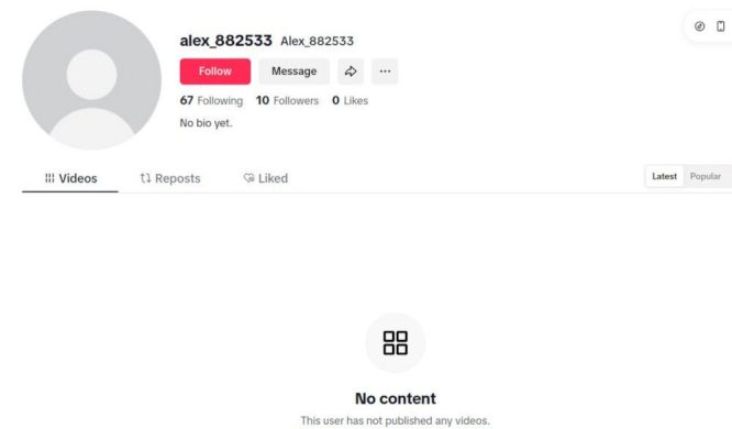 Пустые профили хвалят чиновников в TikTok