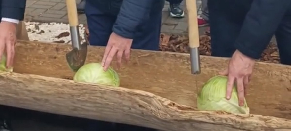 В Чашниках начальники "рубили капусту"