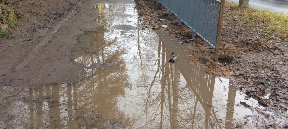 Лужа, тротуар, благоустройство