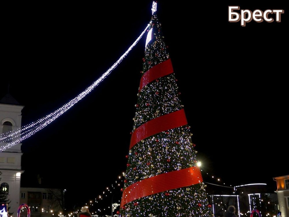 елка в бресте
