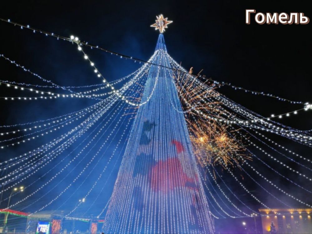 елка в гомеле