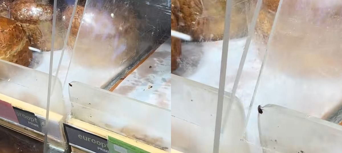 насекомые бегают на прилавке магазина