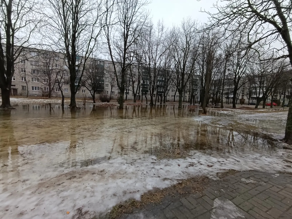 Последствия потепления в Бресте