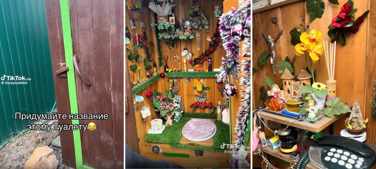 Шикарный деревенский туалет в Беларуси. Коллаж: BGmedia