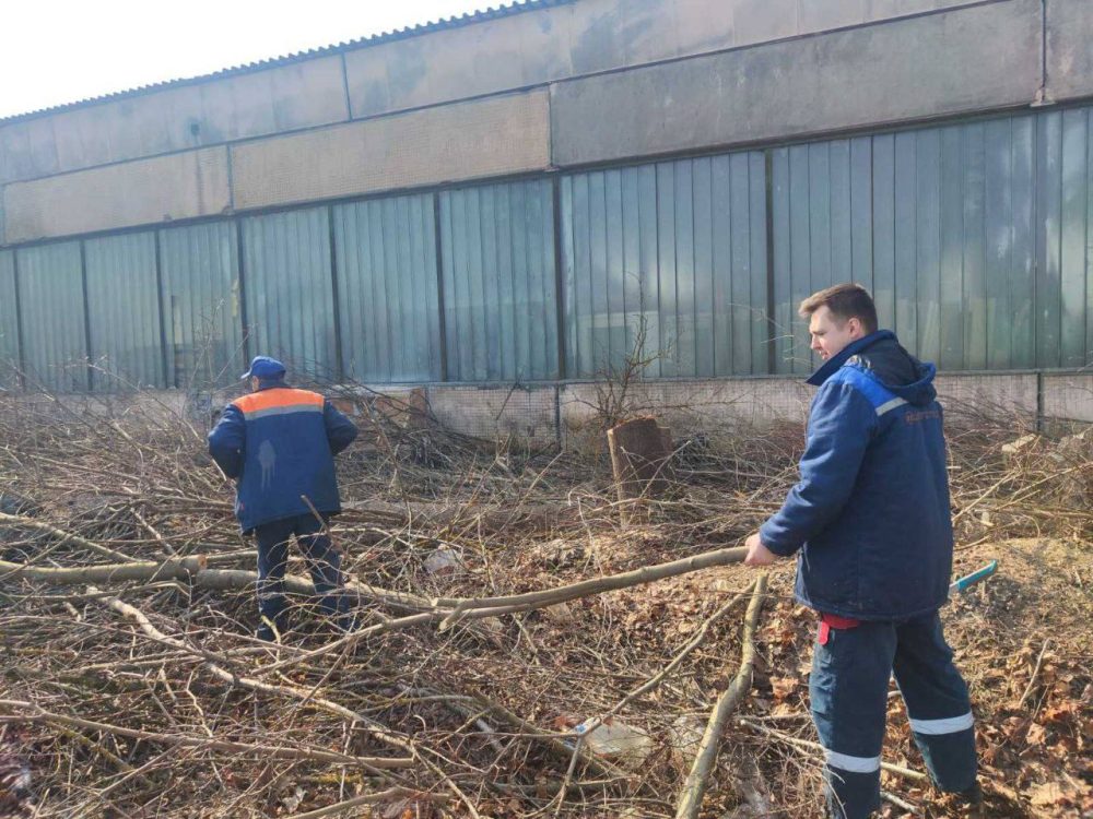 Работник госпредприятия убирают ветки обрезанных деревьев в Бресте в марте 2026 года