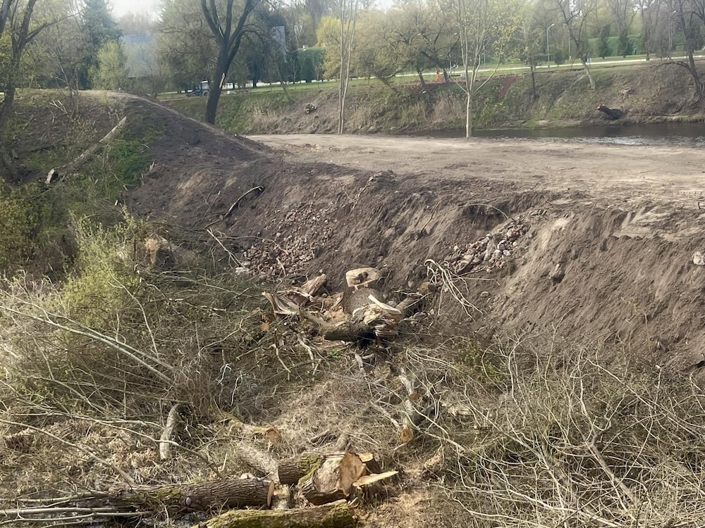Вырубка деревьев в городе в Бресте