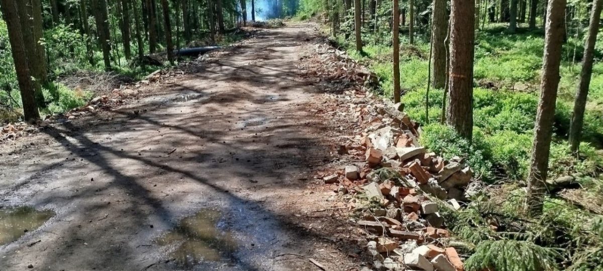 лесная дорога с битого кирпича