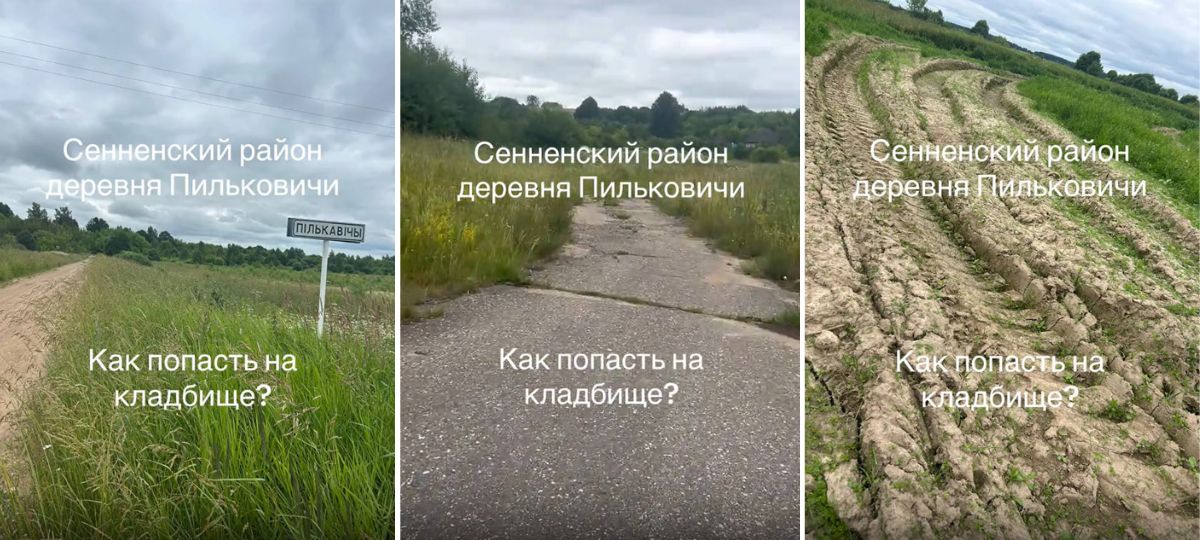 Дорога к кладбищу в деревне Пильковичи Сенненского района. Коллаж BGmedia