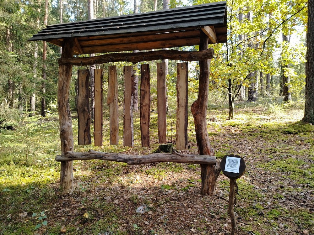 Веломаршрут Барановичского лесхоза. Фото: Victogan